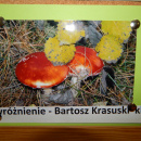 DSCN0422