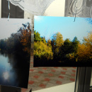 DSCN0438