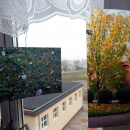 DSCN0440