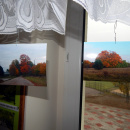 DSCN0447