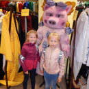 DSCN4342