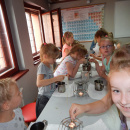 DSCN4381