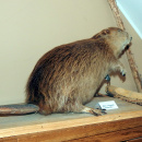 DSCN9951