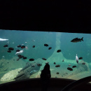 DSC03196