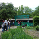 DSC03211