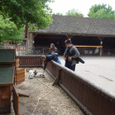 DSC03217