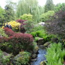 DSC03232
