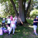 IMG_20190603_114933