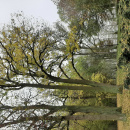 20191025_105544