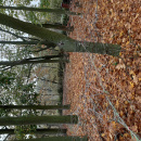 20191025_110827