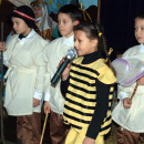 DSCF6545