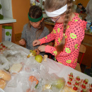 DSCN0241