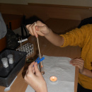 DSCN6127